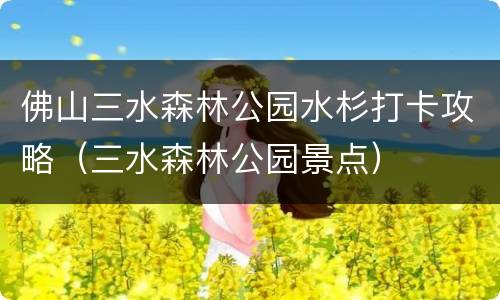 佛山三水森林公园水杉打卡攻略（三水森林公园景点）