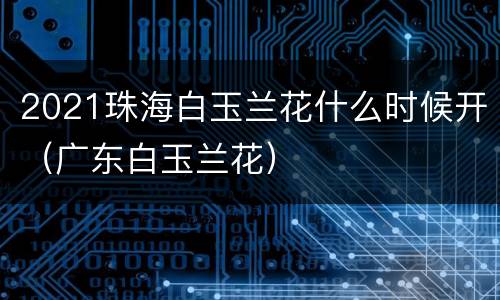 2021珠海白玉兰花什么时候开（广东白玉兰花）