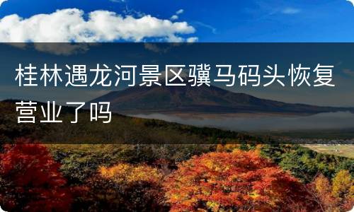 桂林遇龙河景区骥马码头恢复营业了吗