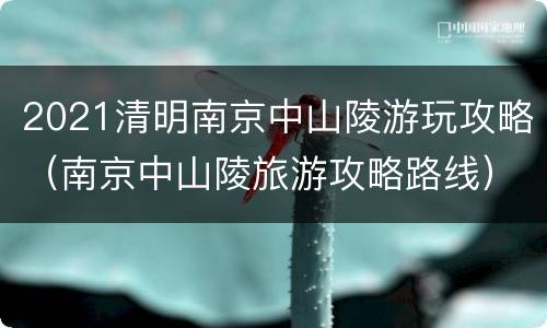 2021清明南京中山陵游玩攻略（南京中山陵旅游攻略路线）
