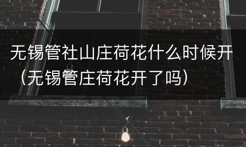 无锡管社山庄荷花什么时候开（无锡管庄荷花开了吗）