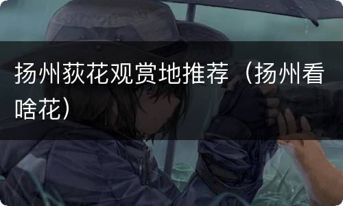 扬州荻花观赏地推荐（扬州看啥花）