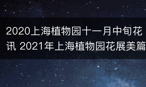 2020上海植物园十一月中旬花讯 2021年上海植物园花展美篇