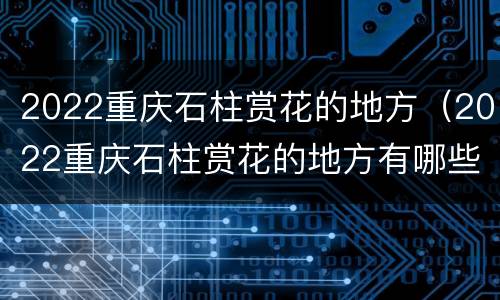 2022重庆石柱赏花的地方（2022重庆石柱赏花的地方有哪些）