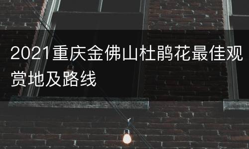 2021重庆金佛山杜鹃花最佳观赏地及路线