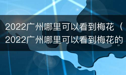 2022广州哪里可以看到梅花（2022广州哪里可以看到梅花的景色）