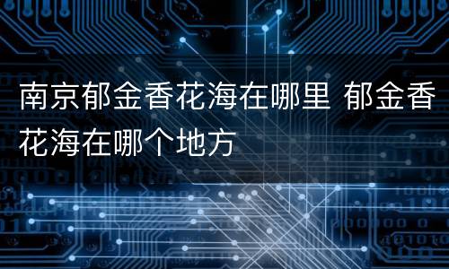 南京郁金香花海在哪里 郁金香花海在哪个地方