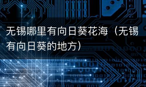 无锡哪里有向日葵花海（无锡有向日葵的地方）