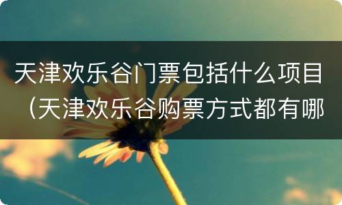天津欢乐谷门票包括什么项目（天津欢乐谷购票方式都有哪些）