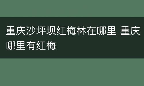 重庆沙坪坝红梅林在哪里 重庆哪里有红梅