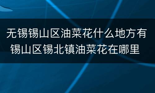 无锡锡山区油菜花什么地方有 锡山区锡北镇油菜花在哪里