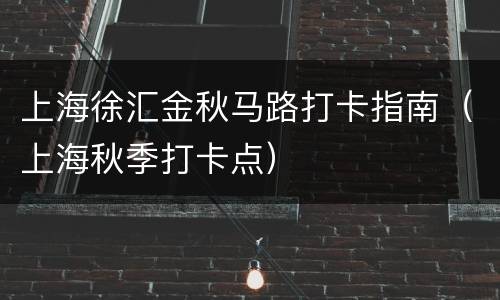 上海徐汇金秋马路打卡指南（上海秋季打卡点）