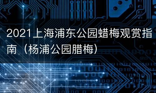 2021上海浦东公园蜡梅观赏指南（杨浦公园腊梅）