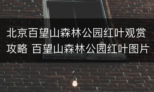 北京百望山森林公园红叶观赏攻略 百望山森林公园红叶图片