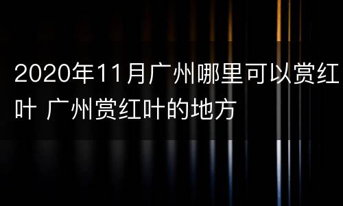 2020年11月广州哪里可以赏红叶 广州赏红叶的地方
