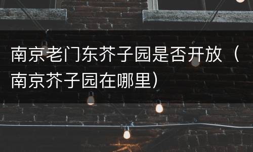 南京老门东芥子园是否开放（南京芥子园在哪里）
