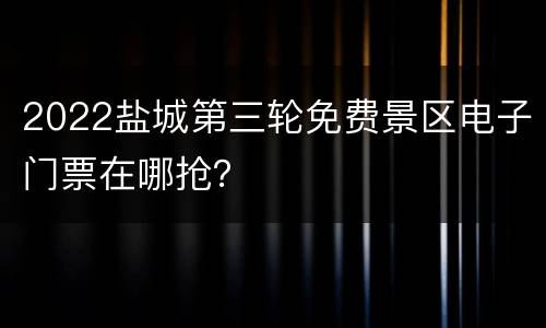 2022盐城第三轮免费景区电子门票在哪抢？