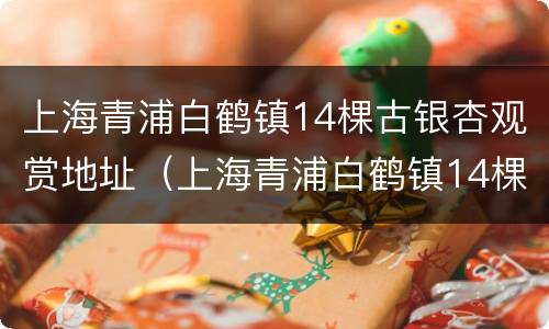 上海青浦白鹤镇14棵古银杏观赏地址（上海青浦白鹤镇14棵古银杏观赏地址）