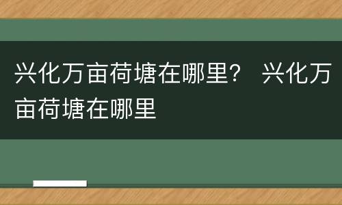 兴化万亩荷塘在哪里？ 兴化万亩荷塘在哪里