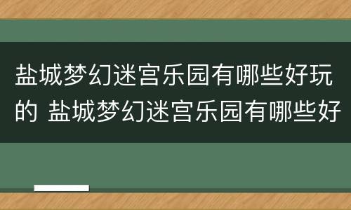 盐城梦幻迷宫乐园有哪些好玩的 盐城梦幻迷宫乐园有哪些好玩的地方