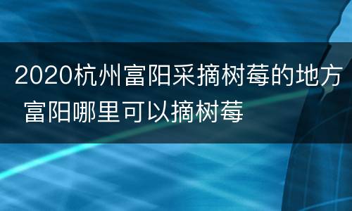 2020杭州富阳采摘树莓的地方 富阳哪里可以摘树莓