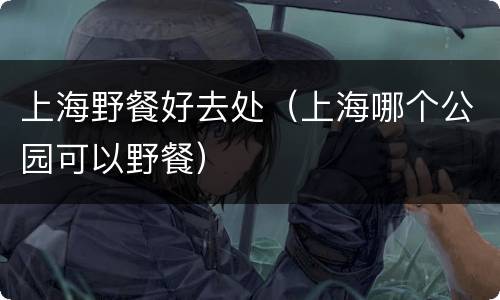 上海野餐好去处（上海哪个公园可以野餐）