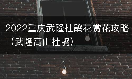 2022重庆武隆杜鹃花赏花攻略（武隆高山杜鹃）