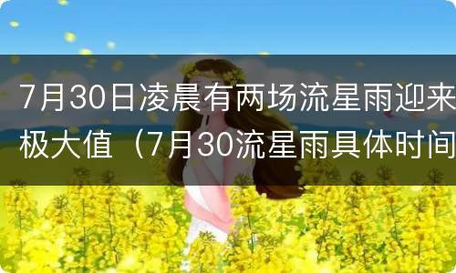 7月30日凌晨有两场流星雨迎来极大值（7月30流星雨具体时间）