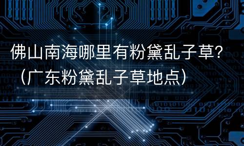 佛山南海哪里有粉黛乱子草？（广东粉黛乱子草地点）
