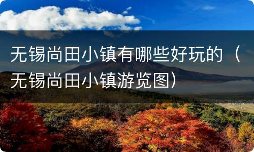 无锡尚田小镇有哪些好玩的（无锡尚田小镇游览图）