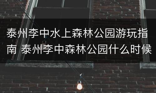 泰州李中水上森林公园游玩指南 泰州李中森林公园什么时候去好