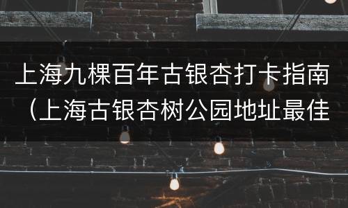 上海九棵百年古银杏打卡指南（上海古银杏树公园地址最佳时间）