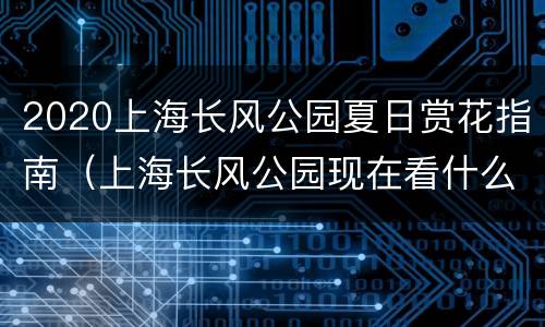 2020上海长风公园夏日赏花指南（上海长风公园现在看什么花）