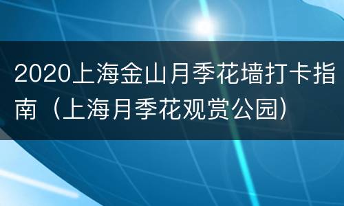 2020上海金山月季花墙打卡指南（上海月季花观赏公园）
