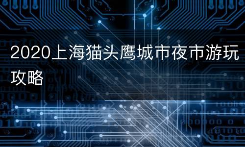 2020上海猫头鹰城市夜市游玩攻略