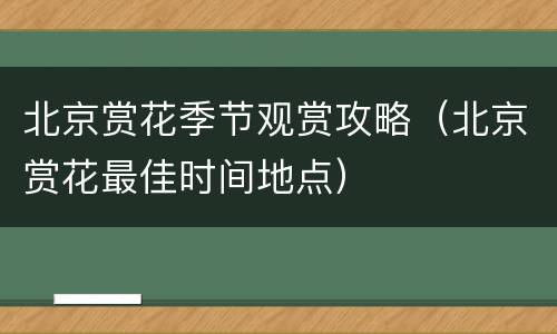 北京赏花季节观赏攻略（北京赏花最佳时间地点）