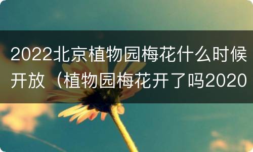 2022北京植物园梅花什么时候开放（植物园梅花开了吗2020）