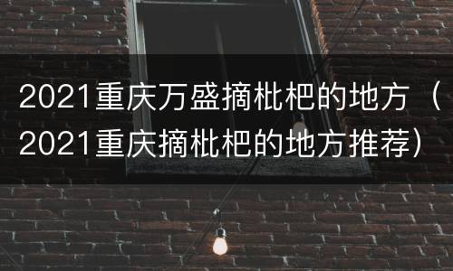 2021重庆万盛摘枇杷的地方（2021重庆摘枇杷的地方推荐）