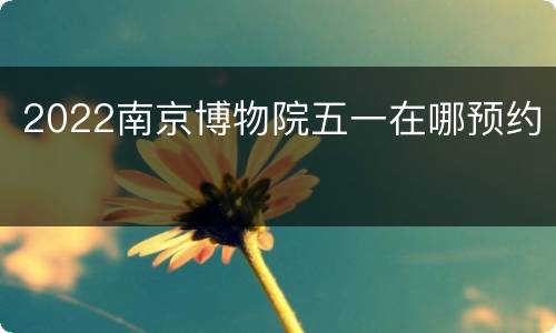 2022南京博物院五一在哪预约
