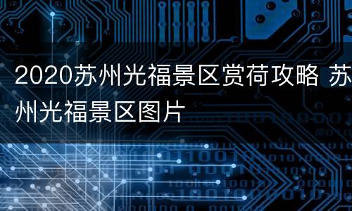 2020苏州光福景区赏荷攻略 苏州光福景区图片
