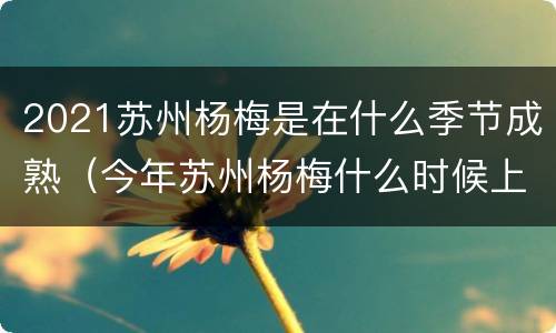 2021苏州杨梅是在什么季节成熟（今年苏州杨梅什么时候上市）