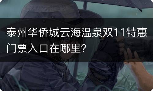 泰州华侨城云海温泉双11特惠门票入口在哪里？