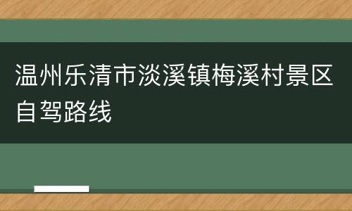 温州乐清市淡溪镇梅溪村景区自驾路线