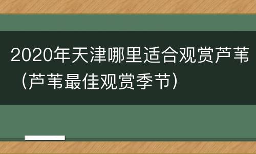 2020年天津哪里适合观赏芦苇（芦苇最佳观赏季节）