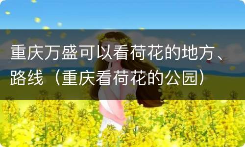 重庆万盛可以看荷花的地方、路线（重庆看荷花的公园）