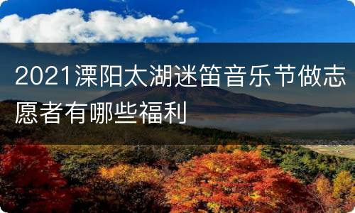 2021溧阳太湖迷笛音乐节做志愿者有哪些福利