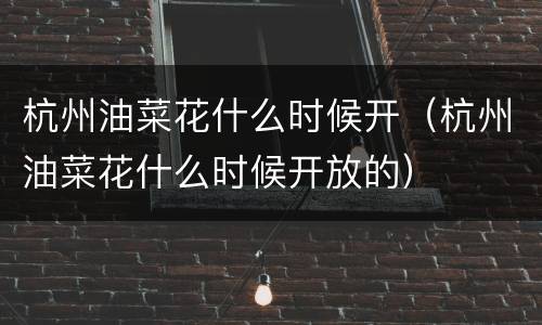 杭州油菜花什么时候开（杭州油菜花什么时候开放的）