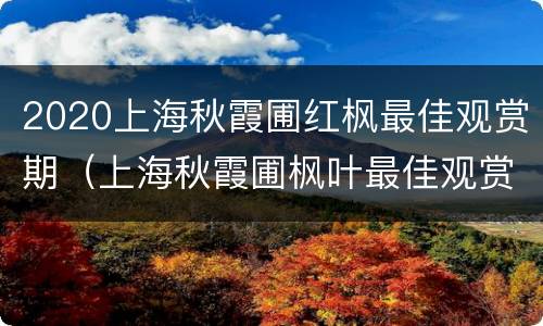 2020上海秋霞圃红枫最佳观赏期（上海秋霞圃枫叶最佳观赏期2020）