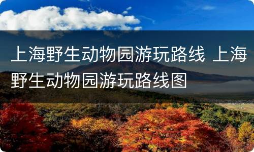 上海野生动物园游玩路线 上海野生动物园游玩路线图