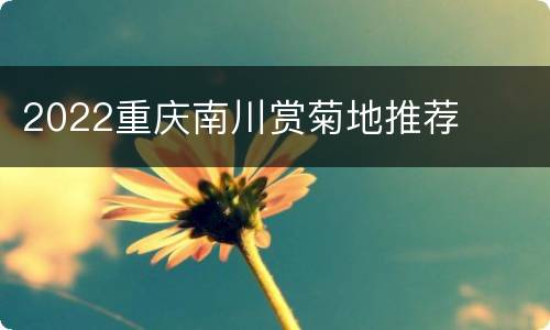 2022重庆南川赏菊地推荐